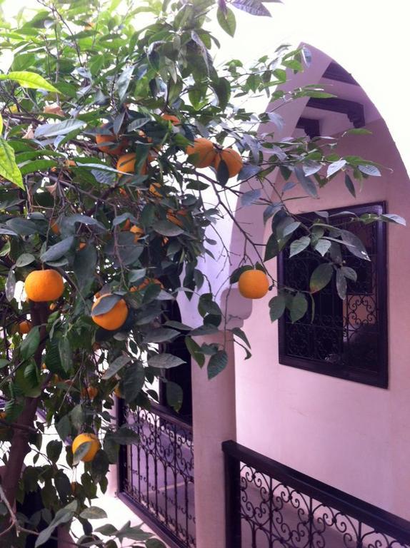 Riad Le Bel Oranger Marrakesh Luaran gambar
